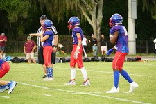 Enlarge photo 133