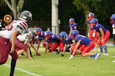 Enlarge photo 151