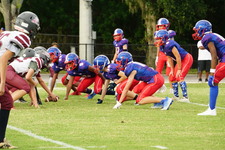 Enlarge photo 152