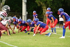 Enlarge photo 154