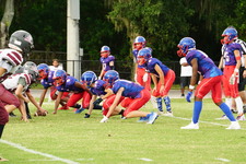 Enlarge photo 153