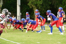 Enlarge photo 155