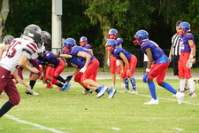 Enlarge photo 156
