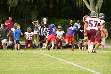 Enlarge photo 160