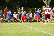 Enlarge photo 159