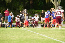 Enlarge photo 161
