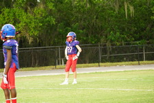 Enlarge photo 163