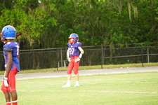 Enlarge photo 165