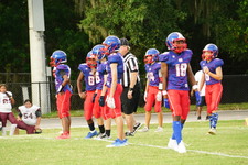 Enlarge photo 166