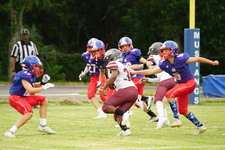 Enlarge photo 201