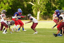 Enlarge photo 208