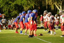 Enlarge photo 216