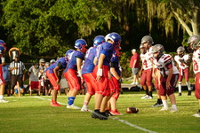 Enlarge photo 219