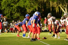 Enlarge photo 218