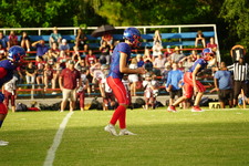 Enlarge photo 223