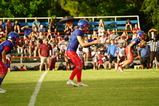 Enlarge photo 225