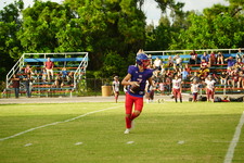 Enlarge photo 230