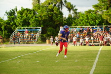 Enlarge photo 229