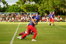 Enlarge photo 233