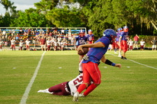 Enlarge photo 235