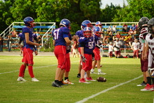Enlarge photo 239