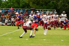 Enlarge photo 246