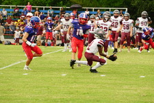 Enlarge photo 248