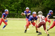 Enlarge photo 255
