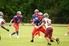 Enlarge photo 257