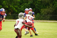 Enlarge photo 258