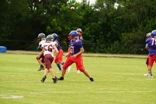 Enlarge photo 259
