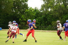 Enlarge photo 260