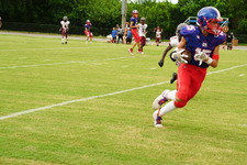 Enlarge photo 263