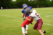 Enlarge photo 267