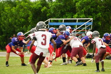 Enlarge photo 276