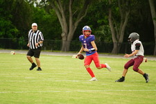 Enlarge photo 281