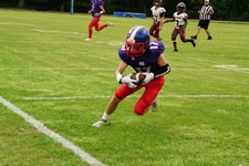 Enlarge photo 285