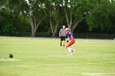Enlarge photo 306