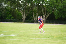 Enlarge photo 307