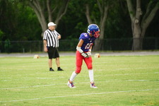 Enlarge photo 310
