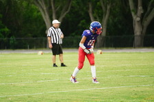 Enlarge photo 309