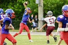 Enlarge photo 311
