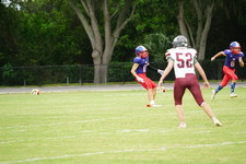 Enlarge photo 333