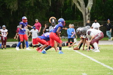 Enlarge photo 339