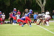 Enlarge photo 340
