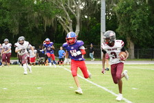Enlarge photo 343