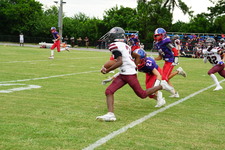 Enlarge photo 346