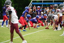 Enlarge photo 382