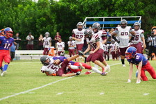 Enlarge photo 391