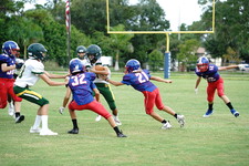 Enlarge photo 10
